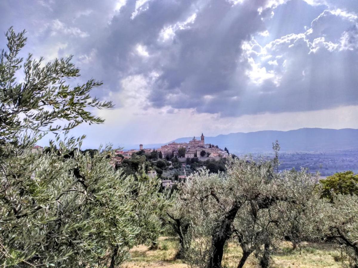 فندق Il Panorama Di تريفي المظهر الخارجي الصورة